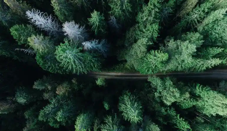 GREEN FRIDAY: a sostegno del patrimonio montano