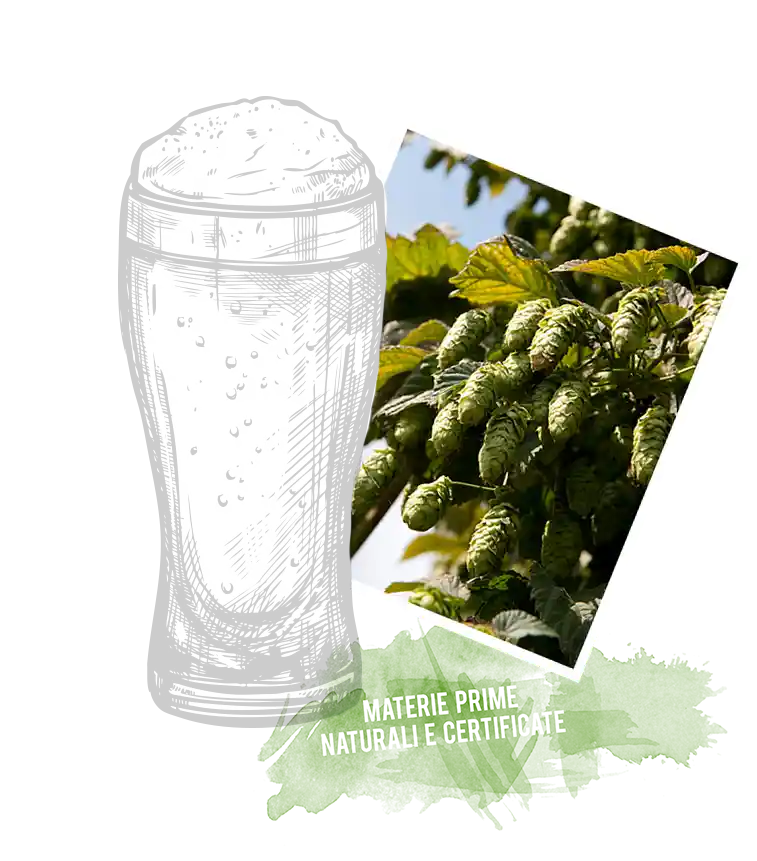 Section 3 Right Image