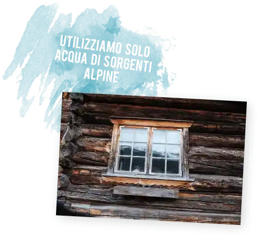 Section 1 Left Image