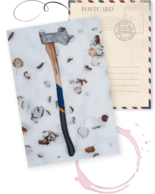 Section 1 Right Image