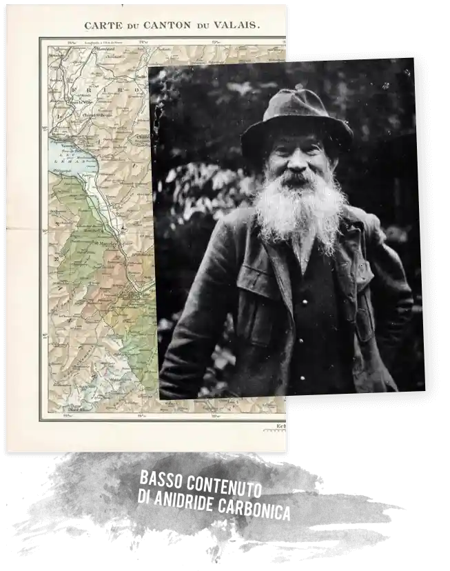 Section 2 Left Image