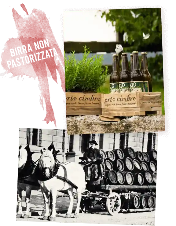 Section 4 Left Image